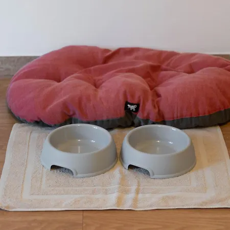 Priscilla Volpago del Montello