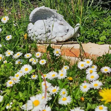 Bed & Breakfast Priscilla