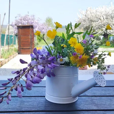 Bed & Breakfast Priscilla