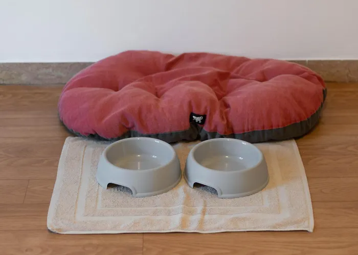 Priscilla Volpago del Montello