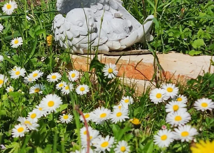 Bed and Breakfast Priscilla