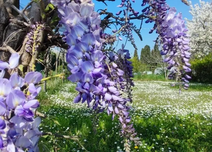 Priscilla 3* Volpago del Montello