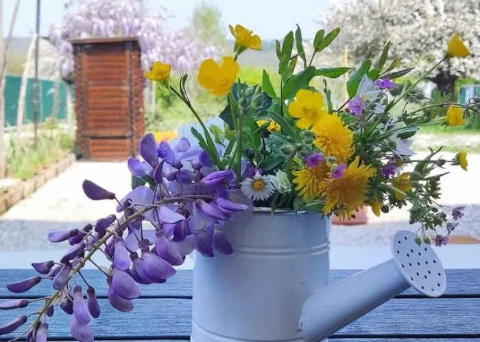 Couette-café Priscilla