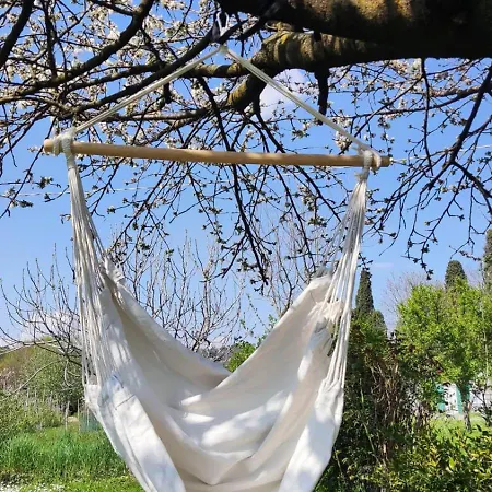 Priscilla Oda ve Kahvaltı 3*