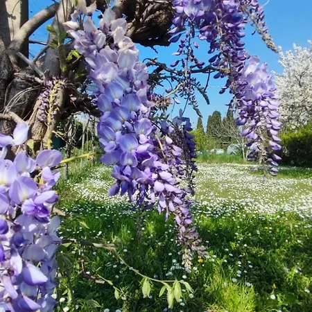 Priscilla 3* Volpago del Montello